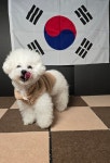 살랑살랑 멍치원 애견유치원