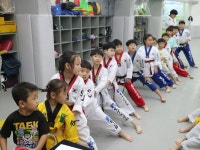SJ태권도조선대박사