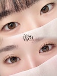 뉴데이뉴