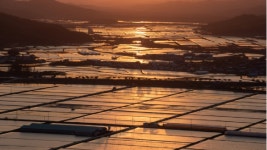 김현겸법무사사무소