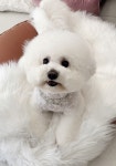 더테일