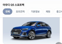 스피드세차장