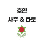 호연사주&타로카페