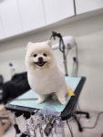 와와살롱