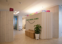 연세미소앤치과의원