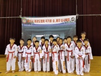 한체대고려태권도