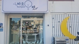 바오펫