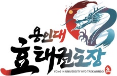 용인대효태권도장