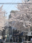 금성회관 합정본점