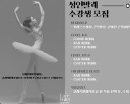 루체발레아카데미