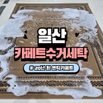 매직카페트세탁소
