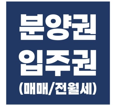 광고 이미지