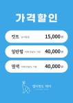 엘리펀트 헤어