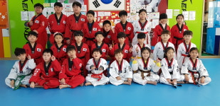 대호태권도