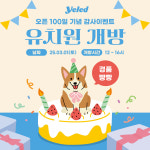 옐레드 애견유치원&애견호텔 대전노은점