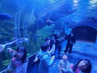 용인대수석태권도