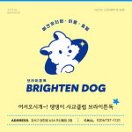 브라이튼독