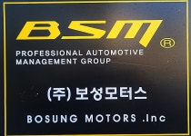 보성모터스