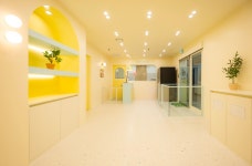 해피훈트 애견카페 미용