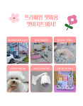 펫아지트