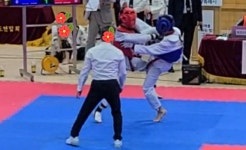 명지아성태권도