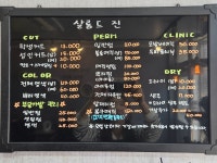 살롱드진