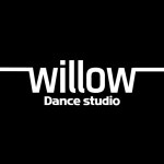 윌로우 댄스 스튜디오