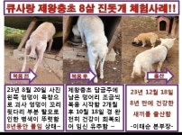 큐사랑 옥포돌미로점