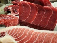 와참치 안산고잔본점