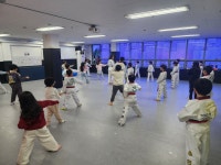 용인대수석태권도