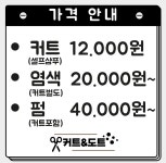 커트앤도트