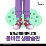 레푸스 진주대안점