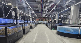 광양수산물유통센터