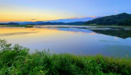 김현겸법무사사무소