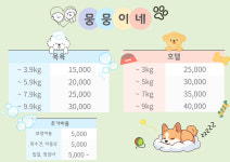 뭉뭉이네 애견유치원&호텔 놀이터