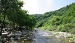 김현겸법무사사무소