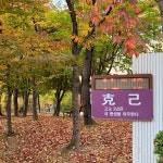 지곡나라공인중개사사무소