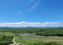 김현겸법무사사무소