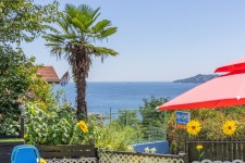 거제 해돋이 가자 애견펜션