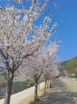 자연속캠핑장