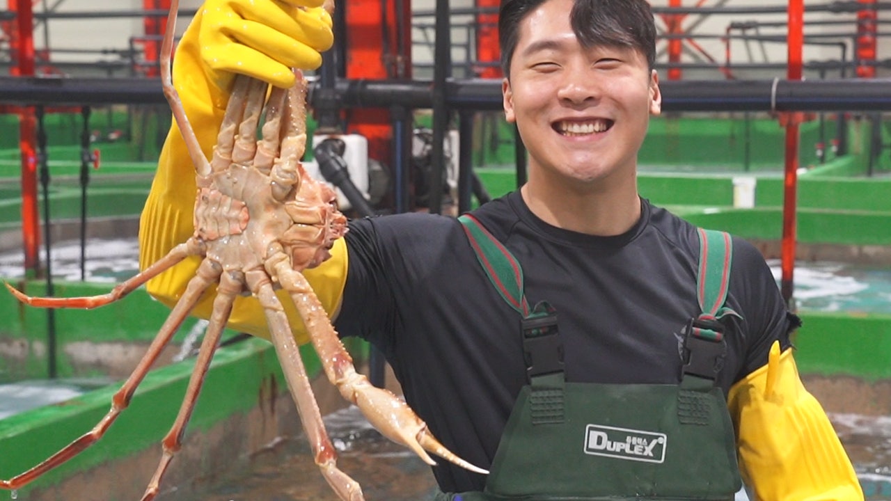 우리푸드대게