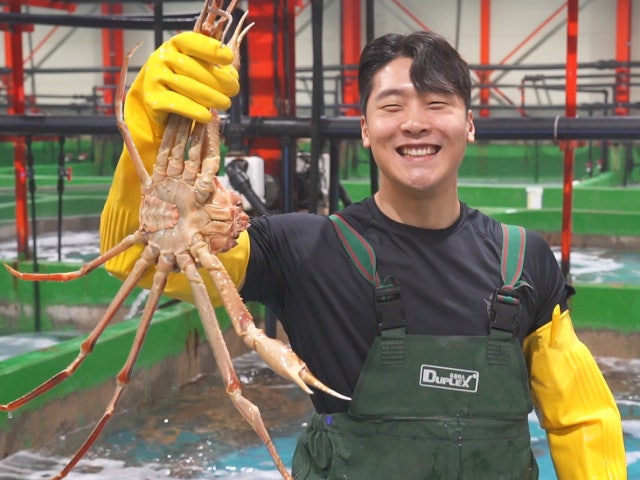 우리푸드대게