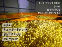 전주콩나물국밥 진말생면국수 파주금촌점