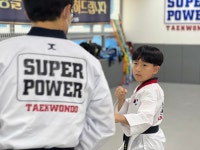슈퍼파워태권도