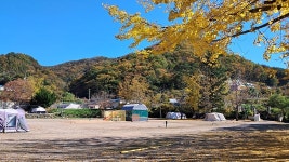 경주쿠키오토캠핑장
