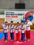 슈퍼파워태권도