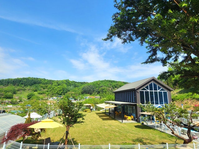 오독오독