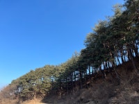 사교리카페