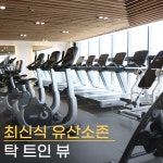 마인드휘트니스 영어교육도시점