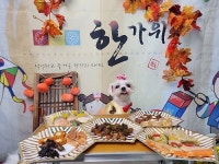 뚜드림 애견 유치원